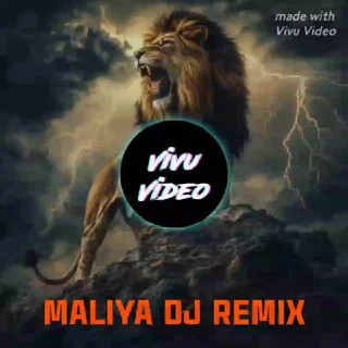 REMIX MALIYA SONG