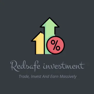 REDSAFE INVESTMENT