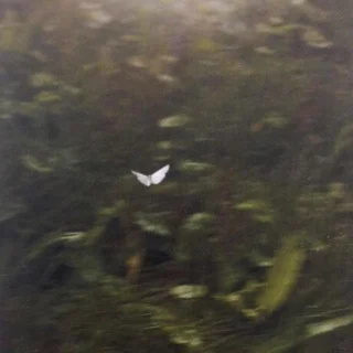 Xxx video