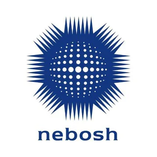 NEBOSH Diploma IDIP Past Papers SOLUTION https://www.youtube.com/@hseinsights1