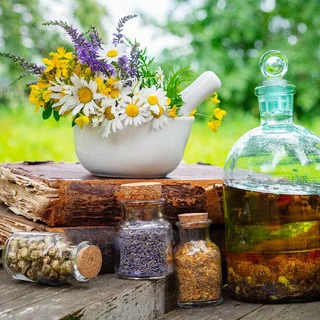 Plantas medicinales
