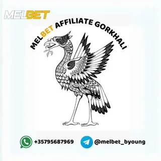 Melbet affiliate gorkhali
