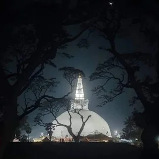 දම් මග