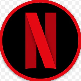 Netflix Dual Audio Movies
