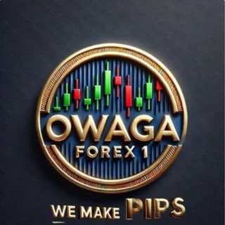 owaga_forex1_hub