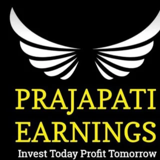 Prajapati Earnings