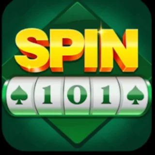 Spin 101