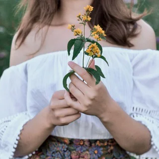 𝚆𝚑𝚊𝚝𝚜𝚊𝚙𝚙 𝚂𝚃𝙰𝚃𝚄𝚂 🌼💖