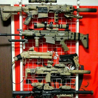 EBIAN-TN Weaponry