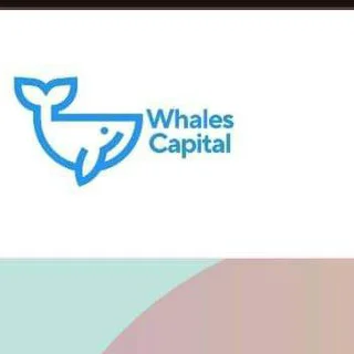 WHALECAPITAL INVESTMENT chat