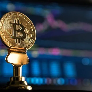 NET TRADING FX INVESTMENT COMPANY